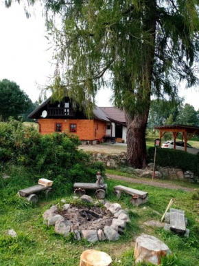  Penzion Olšina 31  Горни Плана